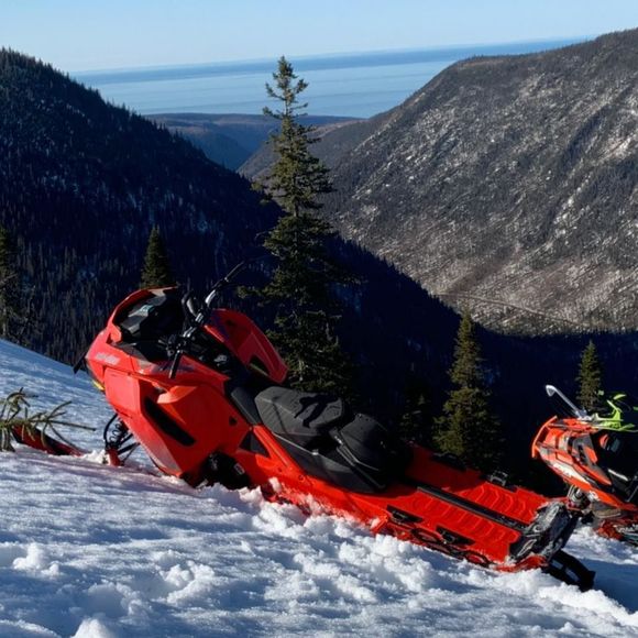 Meet your Posher, Willie - Picture 1 of 1